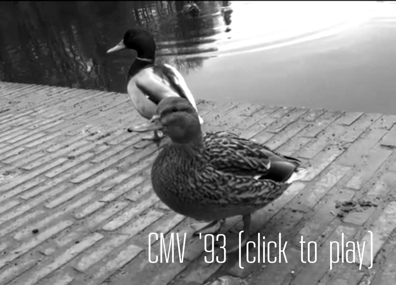 CMV93